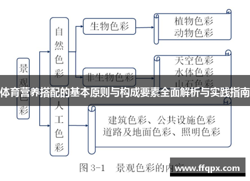 体育营养搭配的基本原则与构成要素全面解析与实践指南